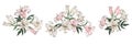 White and pink lilies, flower arrangements set